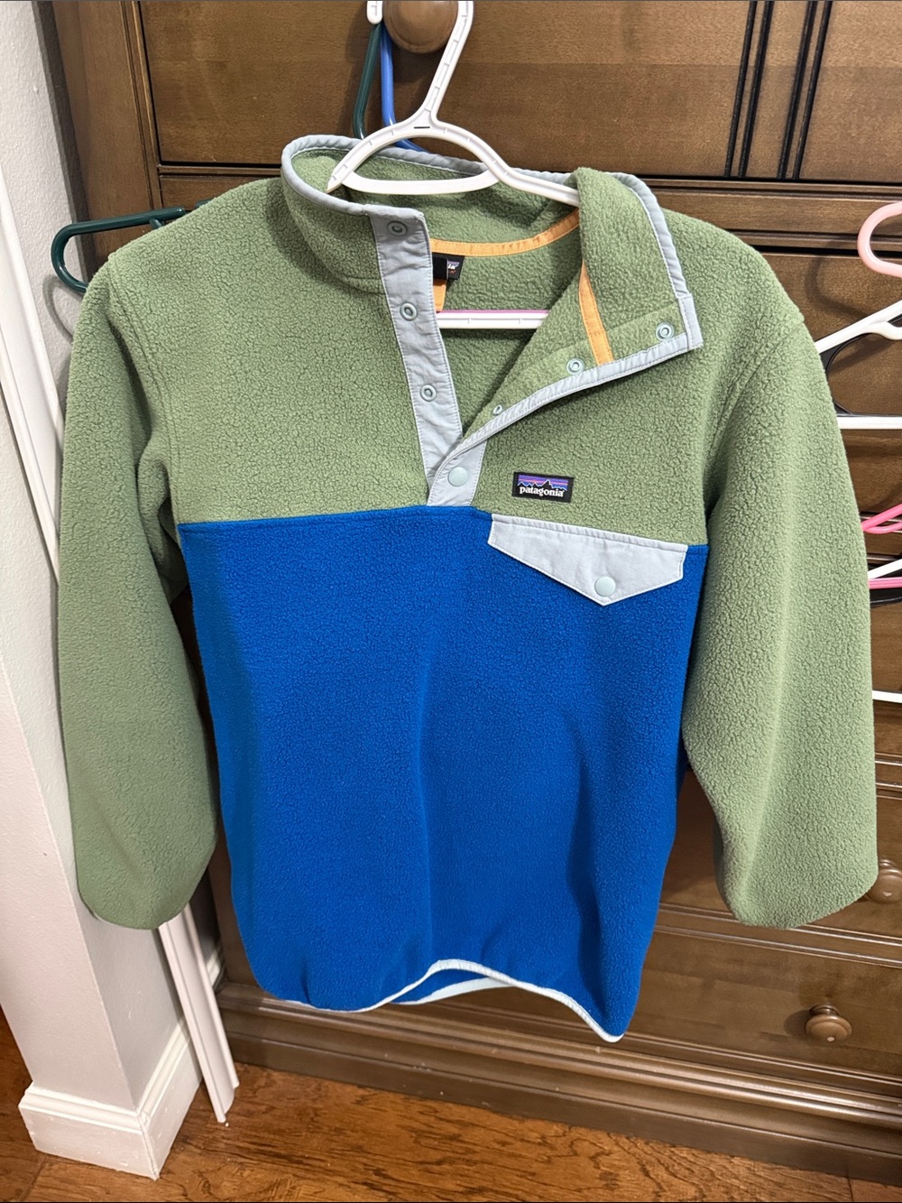 Patagonia Two-Tone Fleece Pullover in Sage Green & Royal Blue